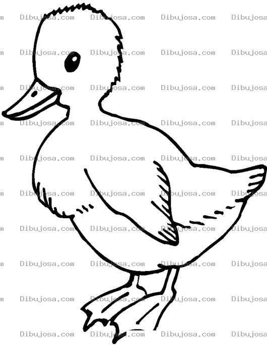 Dibujo para colorear Colorear Patito Bebe