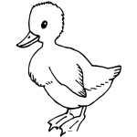 Dibujo para colorear Colorear Patito Bebe
