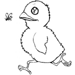 Dibujo para colorear Colorear Pollito Persiguiendo A Una Mosca