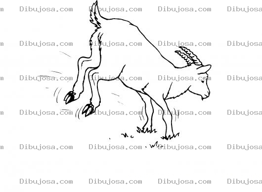 Dibujo para colorear Colorear Cabra Pateando