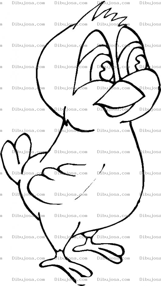 Dibujo para colorear Colorear Gavilan Bebe