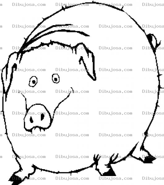 Dibujo para colorear Colorear Marrano Gordo Panzon