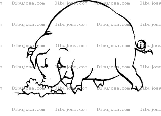 Dibujo para colorear Colorear Marrano Haciendo Un Hoyo En La Tierra