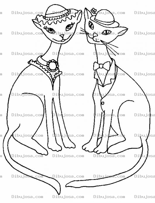 Dibujo para colorear Colorear Don Gato Y Dona Gata