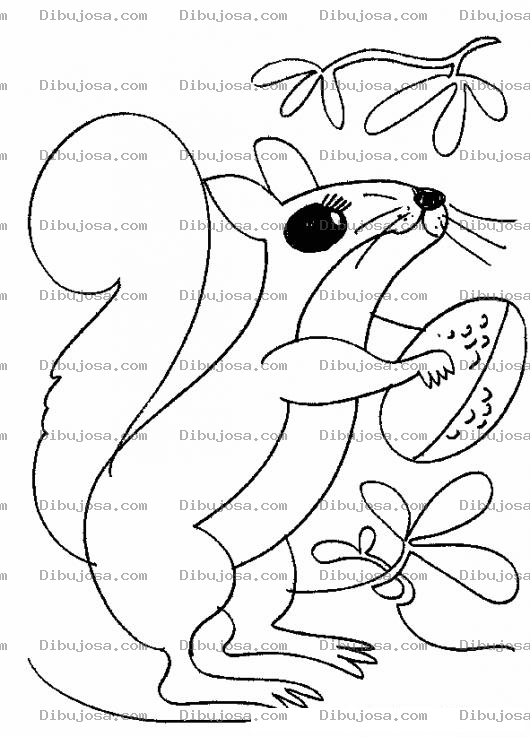 Dibujo para colorear Colorear Ardilla Con Su Nuez