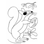 Dibujo para colorear Colorear Ardilla Con Su Nuez