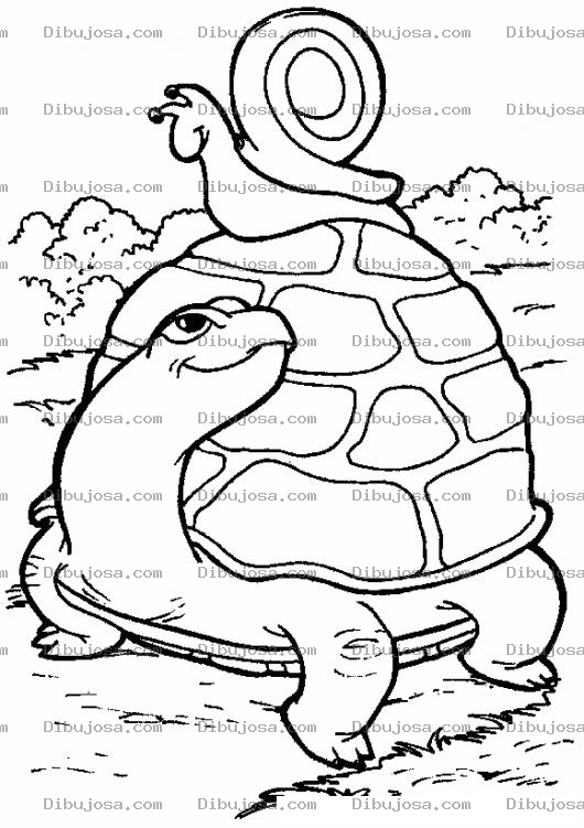 Dibujo para colorear Colorear Tortuga Con Caracolito