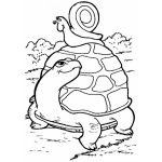 Dibujo para colorear Colorear Tortuga Con Caracolito