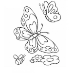 Dibujo para colorear mariposas y abeja para colorear