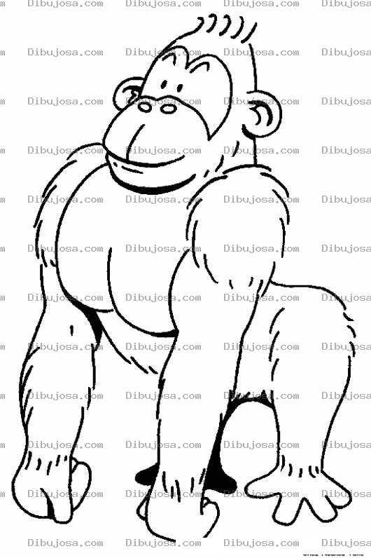 Dibujo para colorear Colorear Gorila Mamado