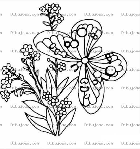 Dibujo para colorear mariposa para pintar